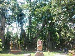 -瑞丽独树成林风景区