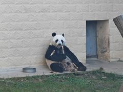 -石家庄市动物园