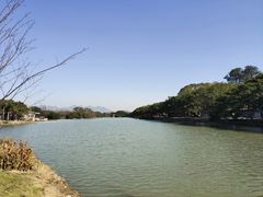 -江心屿景区