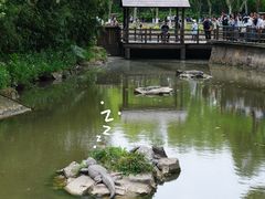 -上海野生动物园
