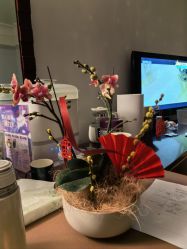 -新寰亚月子会所(金鸡湖凯宾店)