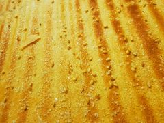 烤糖煎饼-勃利地摊·勃立小串烧烤