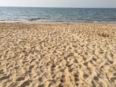 -霞涌市场海鲜摆卖区