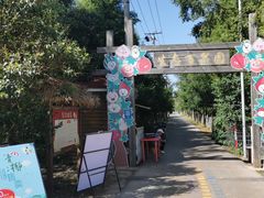 -上海长兴岛郊野公园