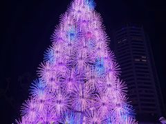 -爱雍·乌节