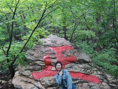 -大连天门山国家森林公园