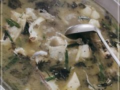 -史记安仁鱼头(浙闽赣食用菌交易中心店)