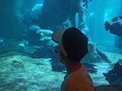 -华夏文旅海洋公园