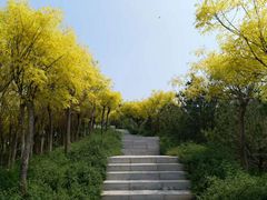-河北省园博园