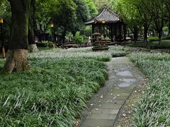 -温江公园