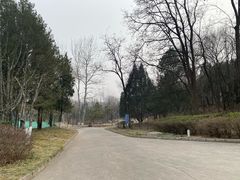 -云岗森林公园
