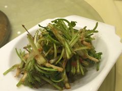 &nbsp;香菜根-湘潭九龙鱼头店(城南西路店)