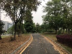 -龙潭水乡