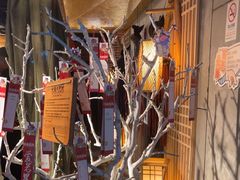 -长藤鬼校(龙翔店)