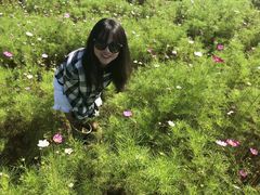 -关山草原