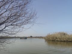 -宁波杭州湾国家湿地公园