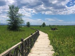 -野鸭湖国家湿地公园