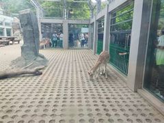 -西安秦岭野生动物园