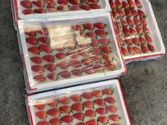 -西郊国际农产品交易中心