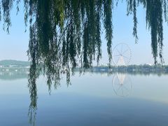 -济南国际园博园