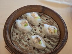 -南海渔村·空中一号