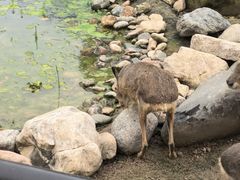 -祥源·阜阳生态乐园