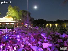 IMG_7233-小王府(什刹海店)