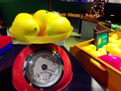 -幻贝家儿童乐园(苏州中心店)