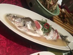 -闻莺馆(柳浪闻莺店)