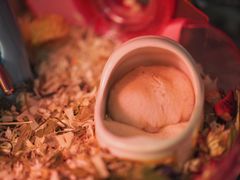 -钓仓鼠(洋桥北里小区店)