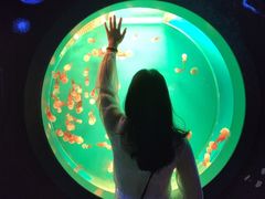 -多彩贵州城极地海洋世界