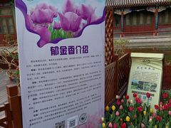 -宣武艺园