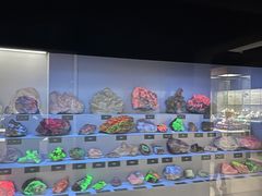 -湖南省地质博物馆