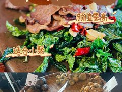 -滇野云南野生菌餐厅(陕西南路店)