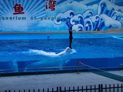 -蓬莱欧乐堡海洋极地世界