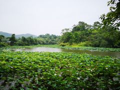 -老木棉·匠园