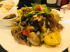 -百好乐宠物友好餐厅(朝外大街店)