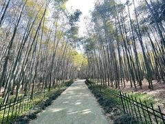-杭州植物园