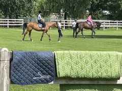 -北京群众马术培训基地