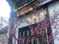 -上海醉白池公园