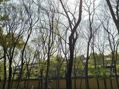 -西园戒幢律寺