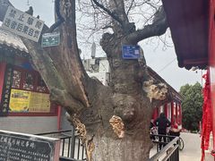 -秦始皇帝陵博物院-丽山园