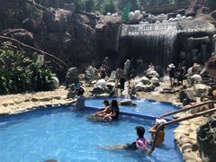 -100蛋泥浆浴
