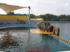 -秦皇岛乐岛海洋王国