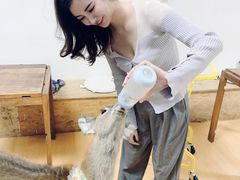 -猫色咖啡·猫咖