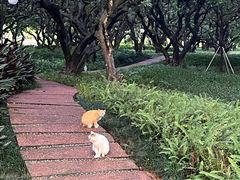 -荔香公园