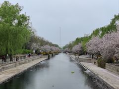 -元大都城垣遗址公园