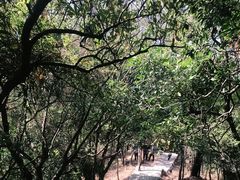 -梧桐山风景名胜区