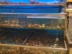 -海天一色海景自助餐厅(西港花园店)