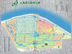 -上海滨江森林公园